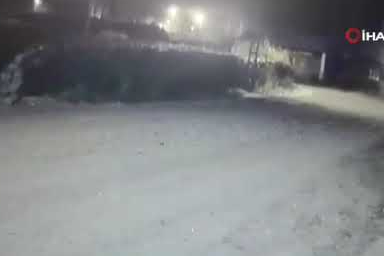 Kars’ta dondurucu soğuklar yaban hayvanlarını şehir merkezine indirdi