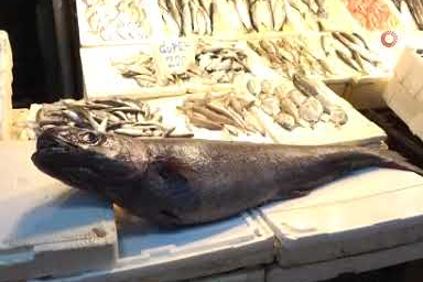 Mersin’de dev atlas balığı balıkçılara sürpriz oldu