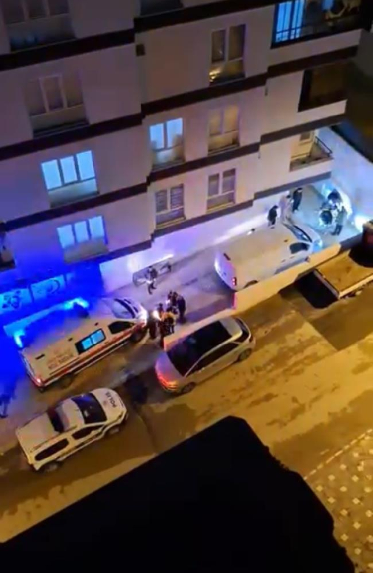 Bursa’da başıboş köpek saldırısı: 3 kişi hastanelik oldu!-Bursa Hayat Gazetesi-2