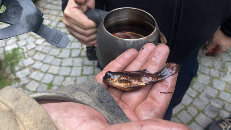Bursa’da yangın paniği: Balıklar itfaiyenin müdahalesiyle yaşadı!-Bursa Hayat-2