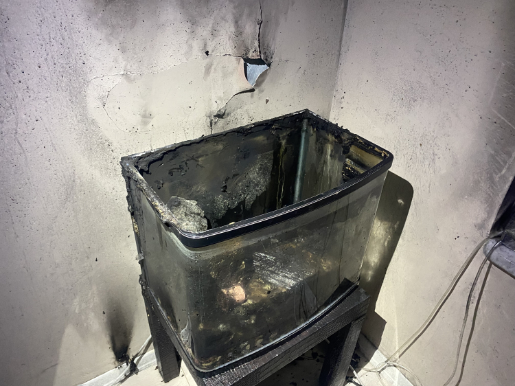 Bursa’da yangın paniği: Balıklar itfaiyenin müdahalesiyle yaşadı!-Bursa Hayat-3