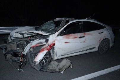 Malatya-Ankara yolunda yarış atları kazası: 1 kişi yaralandı!