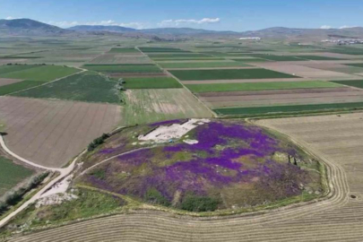 Oluz Höyük’ün karanlık sırrı! İnsan başlı boncuklar ve bebek mezarları…
