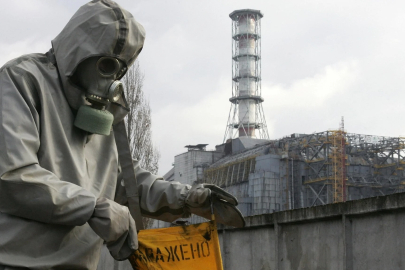 Çernobil köpeklerinde genetik değişim: Radyasyon evrimi tetikliyor mu?