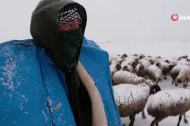 Erzincan’da karla kaplanan köylerde besicilerin zorlu mesaisi