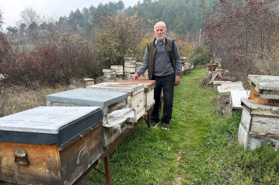 Bursa'da zirai ilaçlar arıcıları zora soktu
