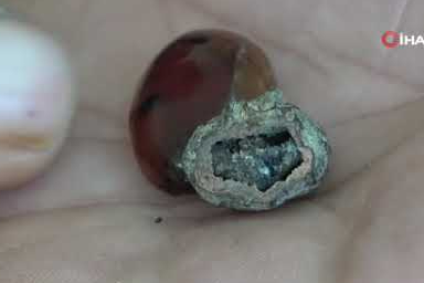 Kehribarın içinde zamanda yolculuk! Milyonlarca yıl öncesine ait…