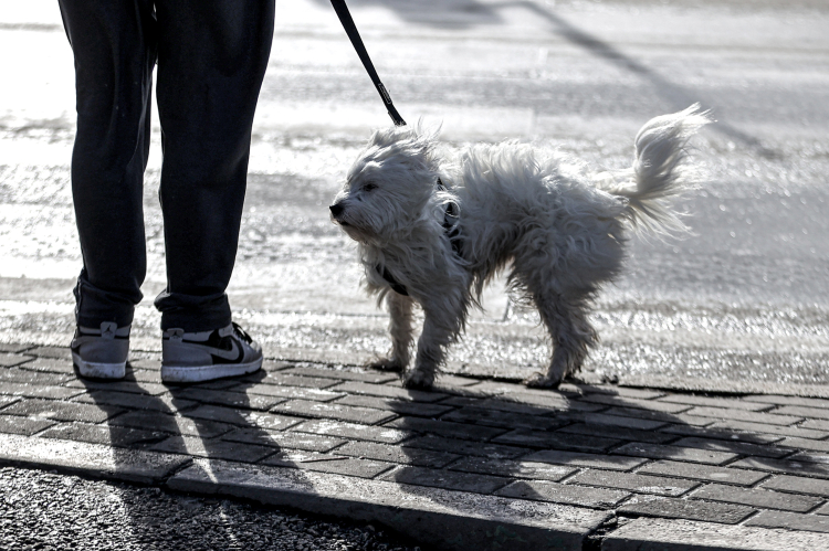 Bursa’da kuvvetli rüzgar alarmı: Hızı saatte 35 km!-Bursa Hayat-2