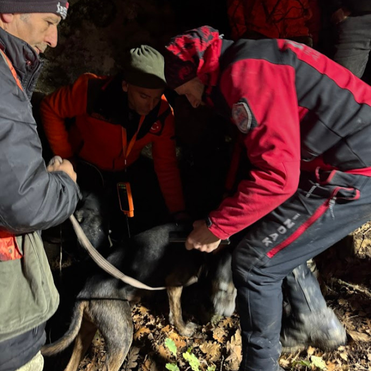 İnegöl’de mahsur kalan iki av köpeği 7 saatlik operasyonla kurtarıldı - Bursa Hayat Gazetesi-4