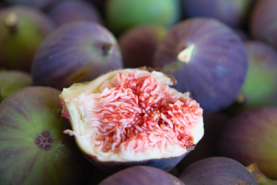 Türkiye’nin tarımsal gururu: ‘Bursa siyahı’ ihracatta yükselişte!