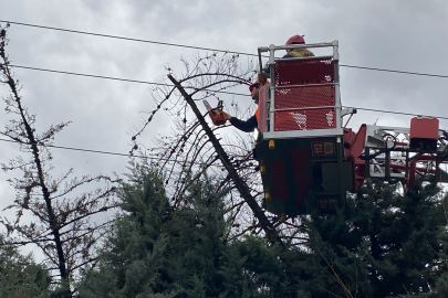 Bursa'da tehlike teğet geçti! Devrilen ağaç elektrik tellerine dayandı