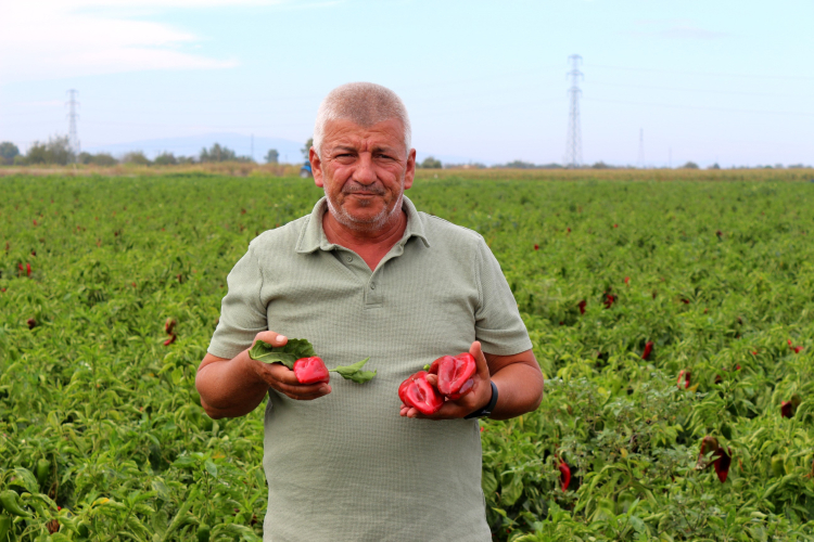 Bursa'da tarımda maliyet krizi! ‘Çiftçiler üretimden vazgeçebilir’ -Bursa Hayat-2