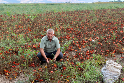 Bursa'da tarımda maliyet krizi! ‘Çiftçiler üretimden vazgeçebilir’