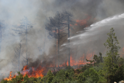Bursa’da yaşanan orman yangınları ile ilgili yeni gelişme!