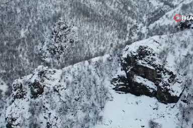 Şırnak’ta doğa beyaza büründü! Bal ormanları kartpostallık görünümde