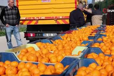 Bodrum mandalini için yeni satış ve dağıtım hamlesi