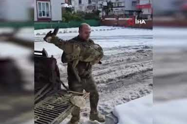 Uçurumdan düşen karaca orman ekiplerince kurtarıldı