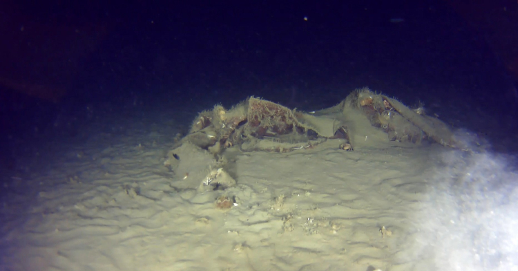 THY’nin “Bursa” uçağına dair yeni iddia: Enkaz bulundu mu?-Bursa Hayat-3