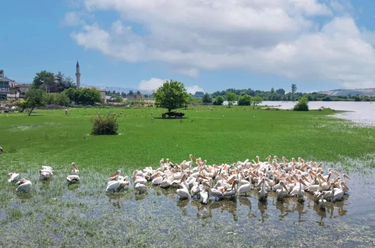 İnegöl Belediyesi’nden Hamzabey’de tarih ve doğa hamlesi!-Bursa Hayat-2