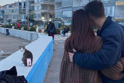 Bursa Mudanya sahilinde gülümseten an: Kediden yardım aldılar