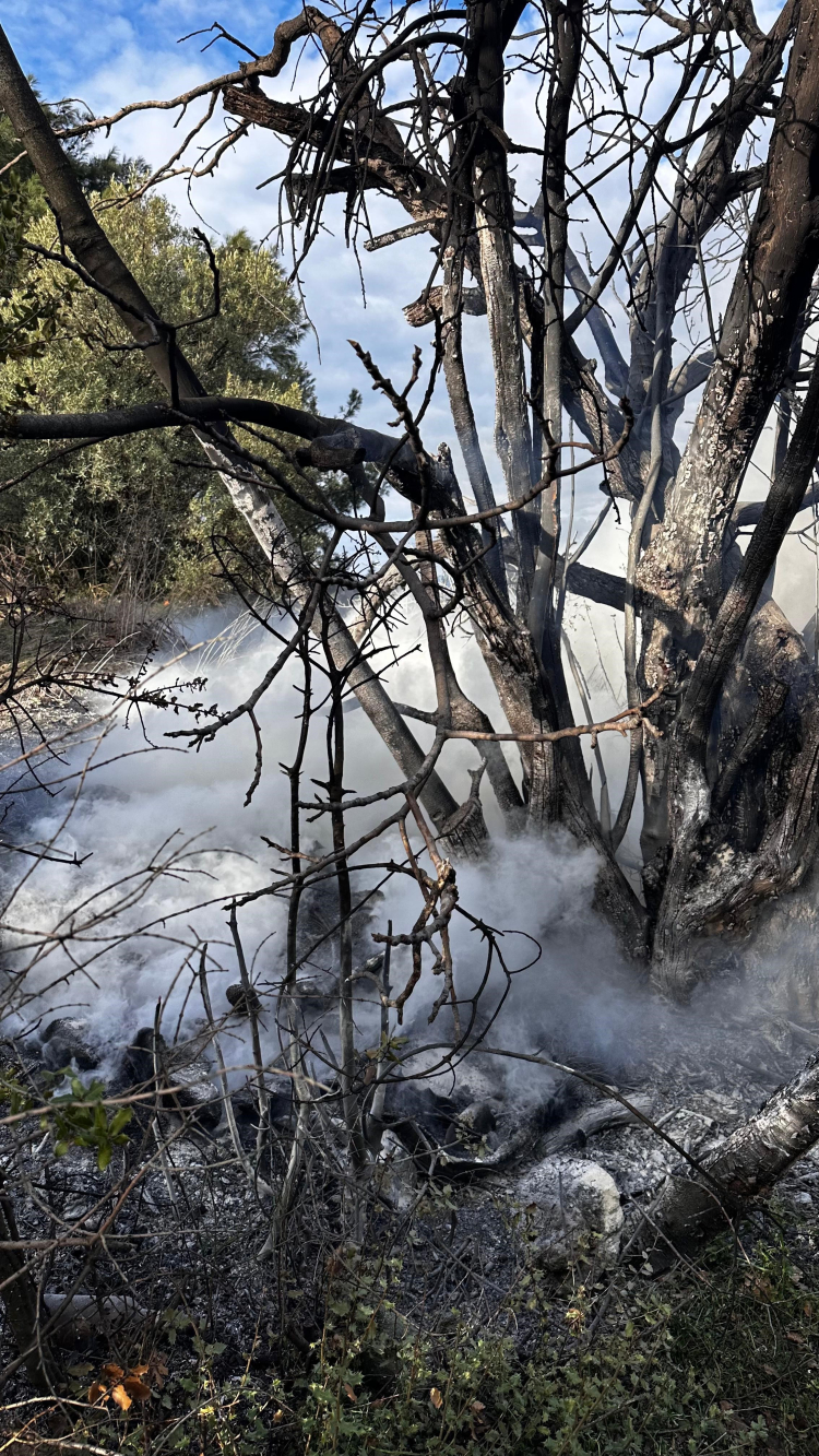 Bursa’da dumanlar panik yarattı: İtfaiye zamanında yetişti!-Bursa Hayat-2