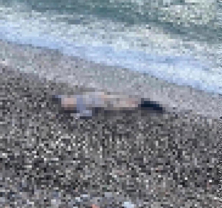 İzmir’de yürek burkan olay: Sahilde erkek çocuğu ölü bulundu!-Bursa Hayat-2