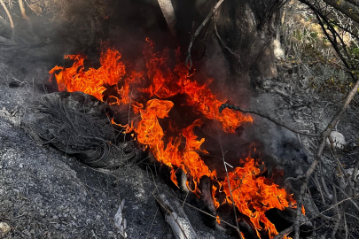 Bursa’da dumanlar panik yarattı: İtfaiye zamanında yetişti!