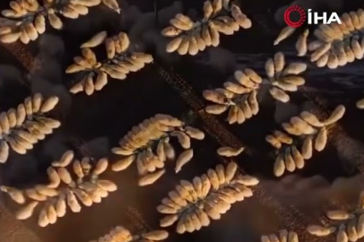 Dağların ve yaylaların bereketi: İliç’te hayvancılık