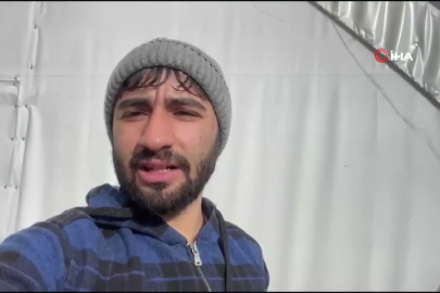 Kışın sert yüzü: Kurtlar şehir merkezinde görüldü!