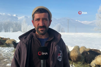 Hakkari'de kuduz alarmı: Köy karantinaya alındı!