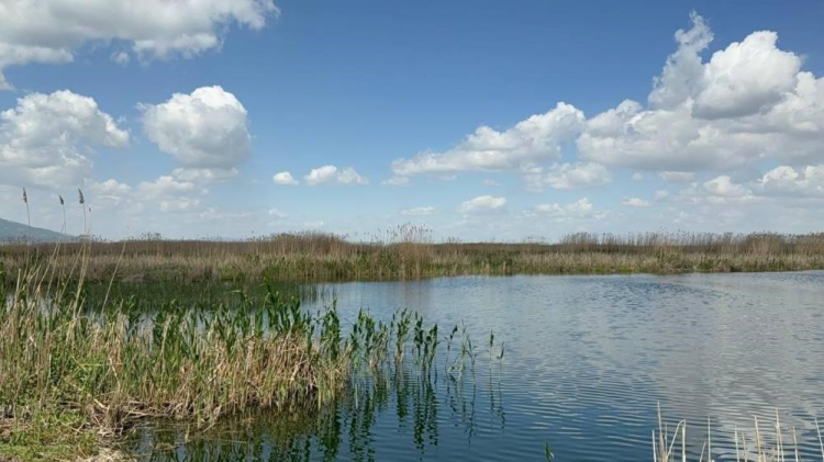 Kar yüküyle bereket: Kiraz ve vişnede umut artıyor!-Bursa Hayat-2