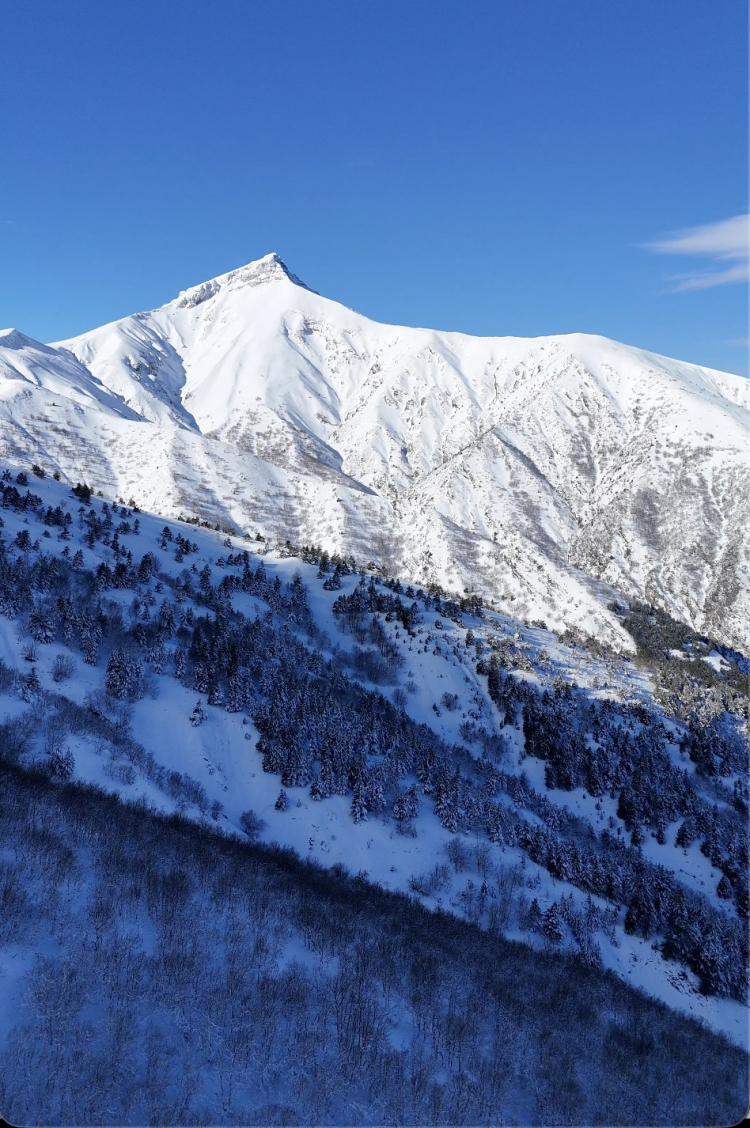 Kar yüküyle bereket: Kiraz ve vişnede umut artıyor!-Bursa Hayat-3