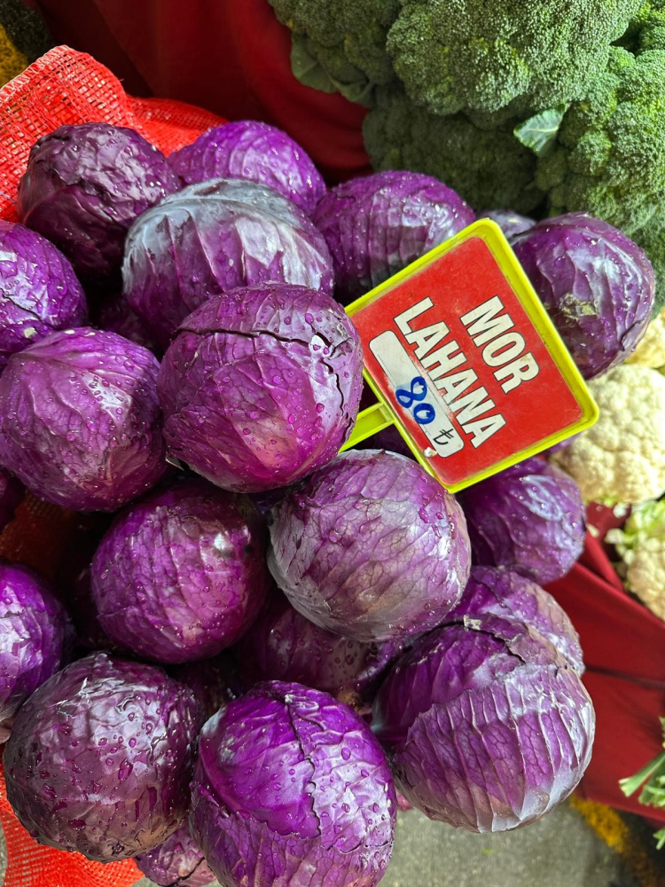 Bursa’da tanesi 80 lira, tarlada çürüyen ürünler 5 lira!-Bursa Hayat-2