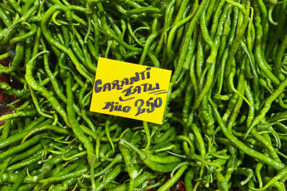 Bursa’da sivri biber ve salatalık el yaktı: Pazarcılar yüksek fiyatlara tepkili!