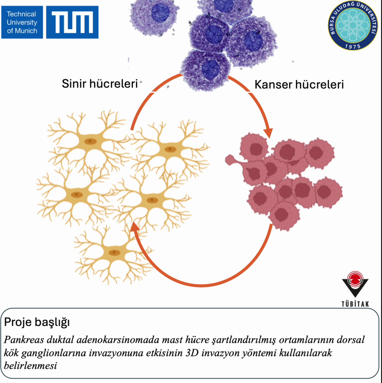 BUÜ’den Bursa’ya gurur: Dr. Yavaş’tan pankreas kanserinde yenilikçi proje!-Bursa Hayat-3