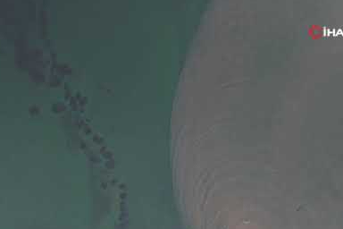 Marmara’da endişelendiren görüntü! Denizin rengi değişti