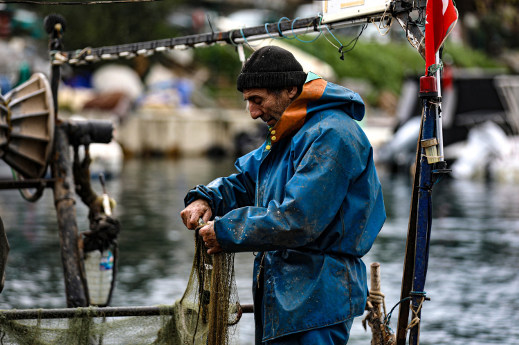 Bursa Büyükşehir’den üreticiye ve balıkçıya tam destek!-Bursa Hayat-2