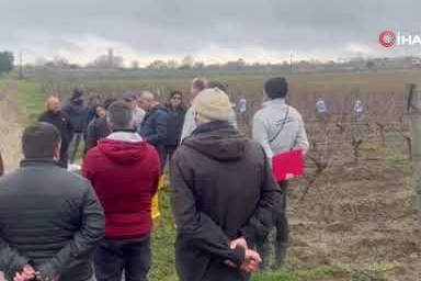 Bağ budama ustaları Tekirdağ’da buluştu