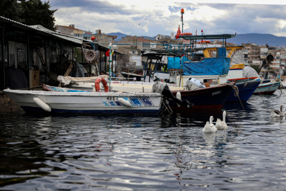 Bursa Büyükşehir’den üreticiye ve balıkçıya tam destek!