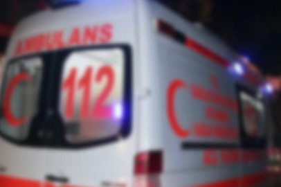 Bursa'da ağaçtan düşen adam ağır yaralandı!