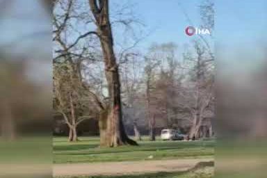 Ağaç kovuğunda yangın çıkarıldı