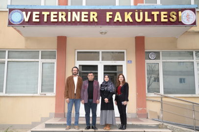 Hayvan üretiminde verimlilik artışı için BUÜ’den yeni araştırma!