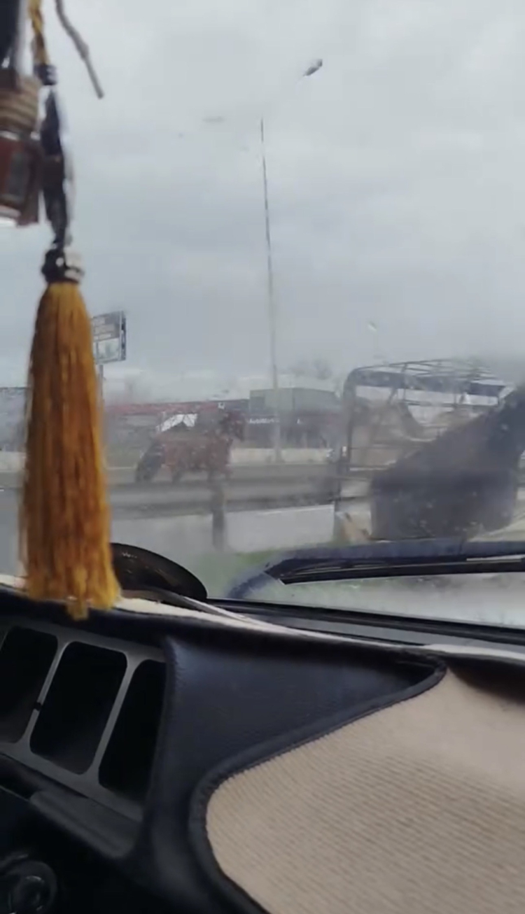 Bursa’da başıboş at trafikte paniğe neden oldu!-Bursa Hayat-2