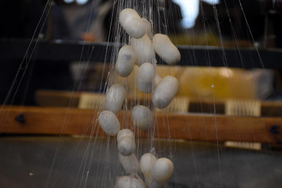 Bursa’da KOZABİRLİK, 2026–2028 yaş koza üretim hedeflerini açıkladı