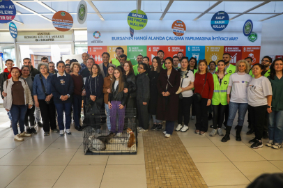 Can dostlara sıcak yuva desteği sürüyor