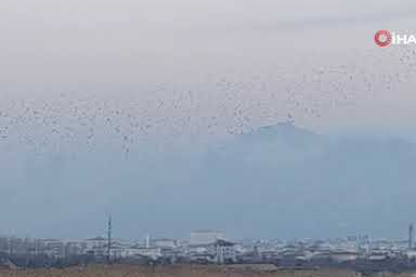 Van semalarında büyüleyici gösteri!