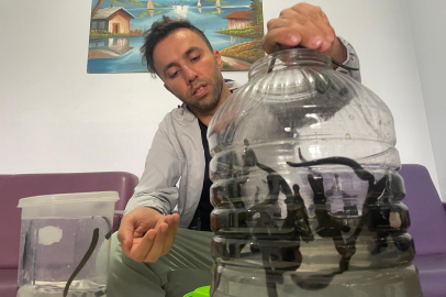 Varis hastalarının gözdesi!