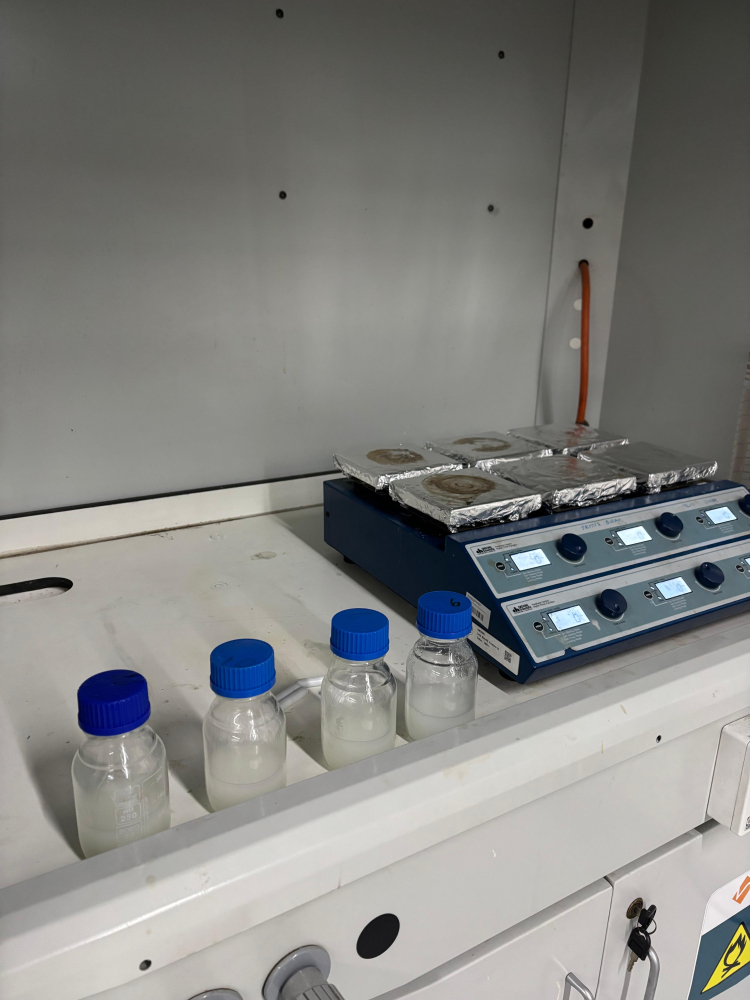 BTÜ’den atık nişastayı ambalaja dönüştüren proje - Bursa Hayat Gazetesi-4