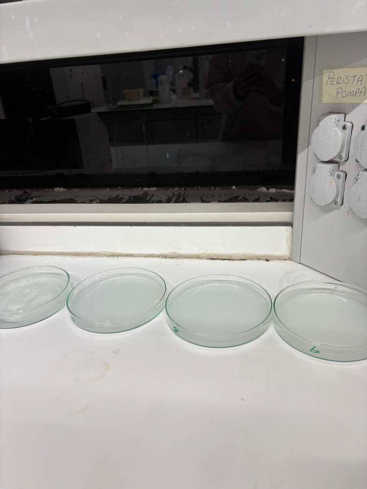 BTÜ’den atık nişastayı ambalaja dönüştüren proje - Bursa Hayat Gazetesi-3