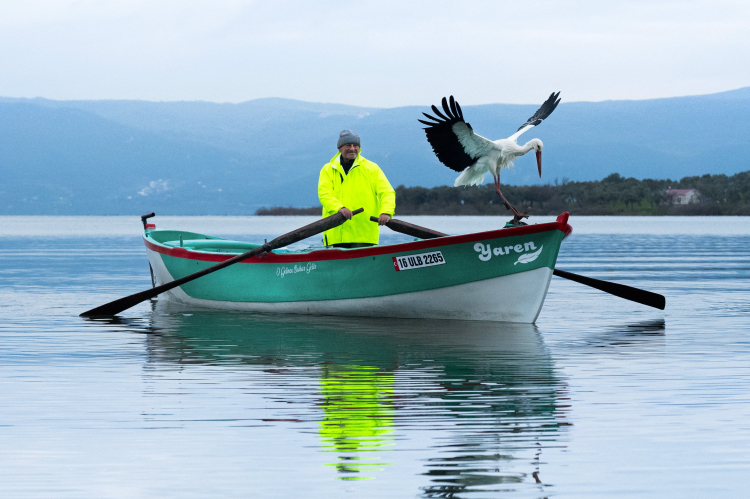 Avrupa Leylek Köyü’nde heyecan! Nazlı sanılmıştı ama gelen 'Yaren'miş -Bursa Hayat-2